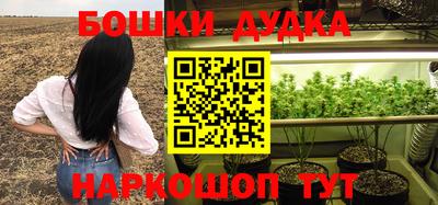 стаф Будённовск
