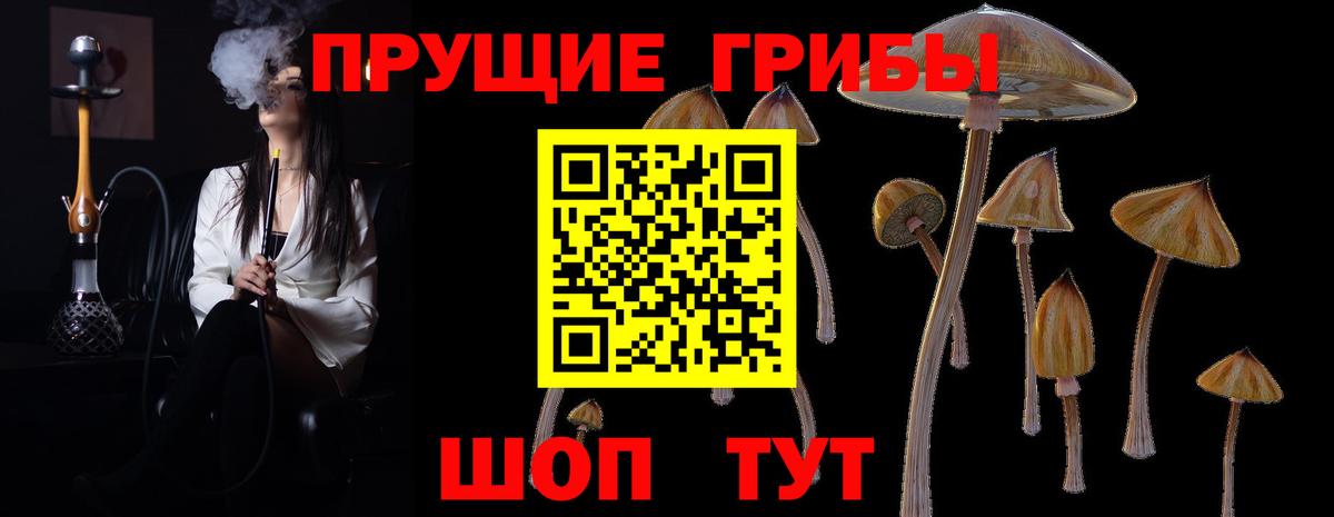 Псилоцибиновые грибы Psilocybe Мценск